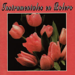 Album cover of Instrumentales en Bolero