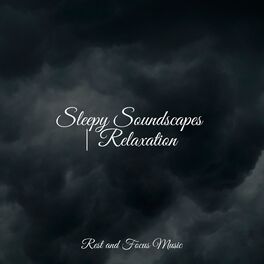 Album cover of Sleepy Soundscapes | Relaxation