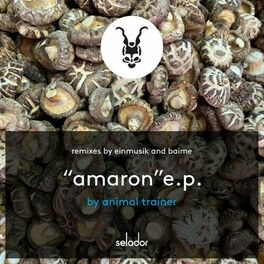 Album cover of Amaron EP