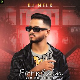 Album cover of Forrózin Vem Moreninho