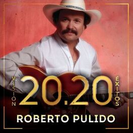 Album cover of Visión 20.20 Éxitos