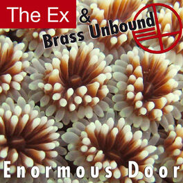 Album cover of Enormous Door