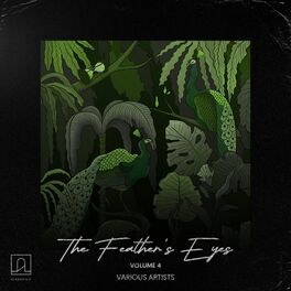 Album cover of The Feathers' Eyes Vol.4