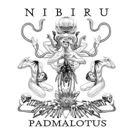 Album cover of Padmalotus