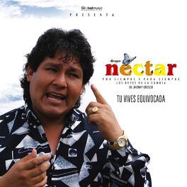 Album cover of Tu Vives Equivocada