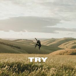 Album cover of Try