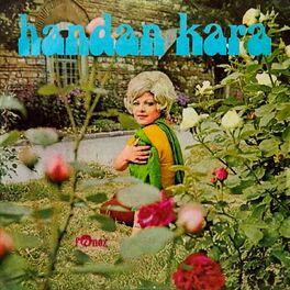 Album cover of Bir Garip Yolcu / O Ağacın Altı