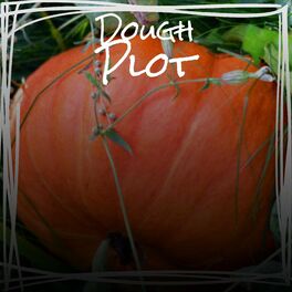 Album cover of Dough Plot