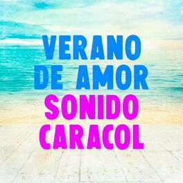 Album cover of Verano de Amor