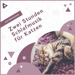 Album cover of Zwei Stunden Schlafmusik für Katzen