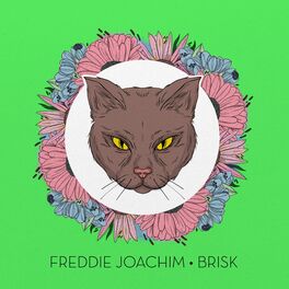 Album cover of Brisk