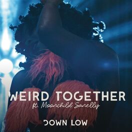Album cover of Down Low (feat. Moonchild Sanelly)