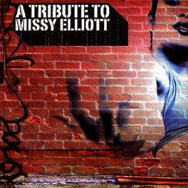 Album cover of A Tribute To Missy Elliott