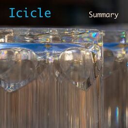 Album cover of Summary