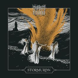 Album cover of Stormurinn