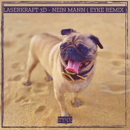 Album cover of Nein Mann (Remix)
