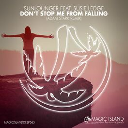 Album cover of Don't Stop Me From Falling (Adam Stark Remix)