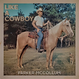 Album cover of Like A Cowboy