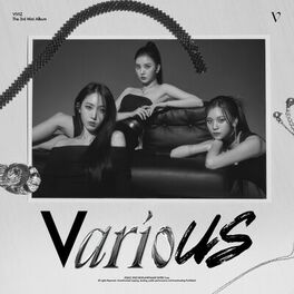 Album cover of The 3rd Mini Album 'VarioUS'