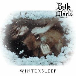Album cover of Wintersleep