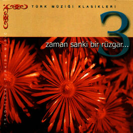 Album cover of Zaman Sanki Bir Rüzgar 3