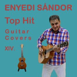 Album cover of Top Hit Guitar Covers XIV