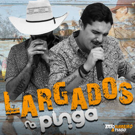 Album cover of Largados na Pinga