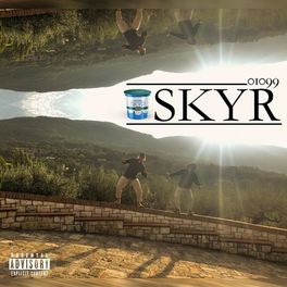 Album cover of Skyr