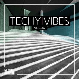 Album cover of Techy Vibes, Vol. 36