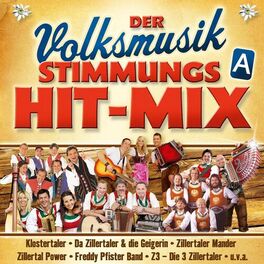 Album cover of Der Volksmusik Stimmungs Hit-Mix - A