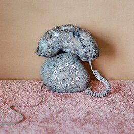 Album cover of Anna Calls From The Arctic