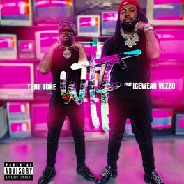 Album cover of Wtf