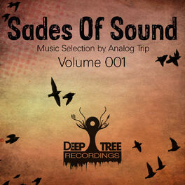 Album cover of Analog Trip - Shades of Sound Vol 001 (MP3 Compilation)