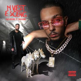 Album cover of M vest e sceng