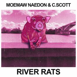 Album cover of River Rats