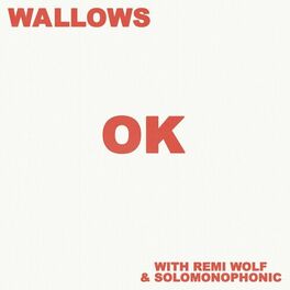 Album cover of OK (with Remi Wolf & Solomonophonic)