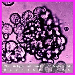 Album cover of The Origin Of Music / Proteinoid Microspheres