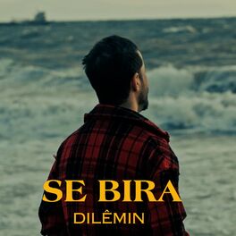Album cover of Dılêmın