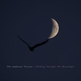 Album cover of Gliding Through The Moonlight