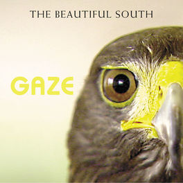 Album cover of Gaze