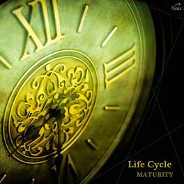 Album cover of Life Cycle - Maturity