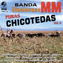 Album cover of Puras Chicotedas, Vol. 2
