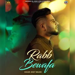 Album cover of Rabb Bewafa