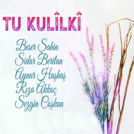 Album cover of Tu Kulîlkî