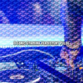 Album cover of 9 Sonic Stamina Persistent Pulse