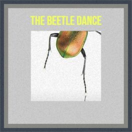 Album cover of The Beetle Dance