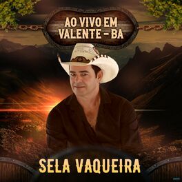Album cover of Ao Vivo em Valente, BA