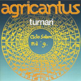 Album cover of Turnari