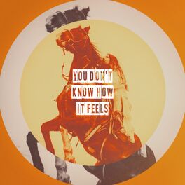 Album cover of You Don't Know How It Feels