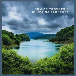 Album cover of Som de Trovões e Chuva na Floresta